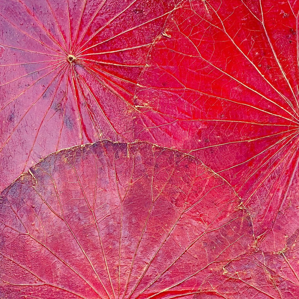 Wanddekor Lotus, rot - ca. 48x48x4 cm